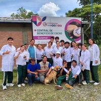 prom26casd