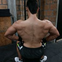 santa_fit