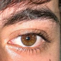 soykevin409