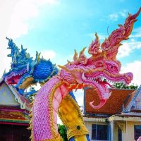 เสียงต้นฉบับ - observewattlebirdo