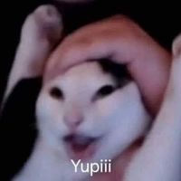.julioh