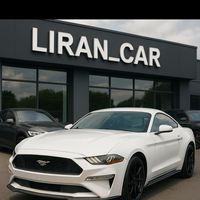 liran_car1