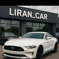 original sound - liran_car1