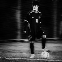 الصوت الأصلي