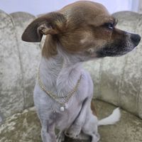 zasu.sazu