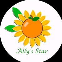 allysstar_bus