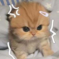 nhạc nền - ❀Thỏ•hay•dỗi