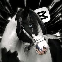 horse..edits64