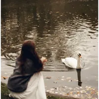 original sound - areejaesthetic