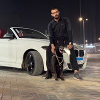 ziad.fox1