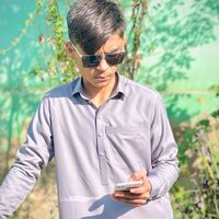 mzargay1