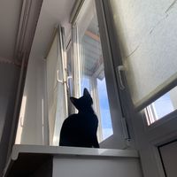 rixxoptrip