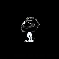 .dkc1_