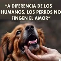 lilipe987