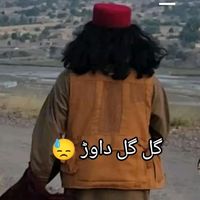 full.out.wazir6