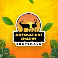 autosafarichapin