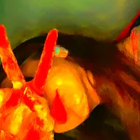 original sound - abrar_egd