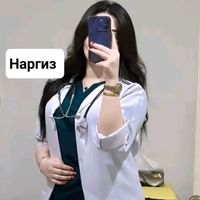 medved801hamshira516