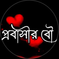 user27815303558881