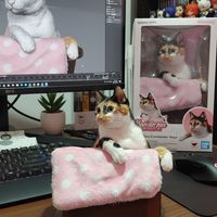 chijhenong77