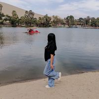 elyrmslzr10