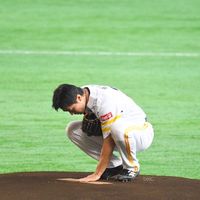 abutoro_334