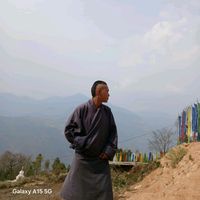 rolang690