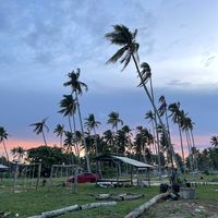 original sound - Alyyxm