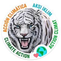 suara asli - Mengikuti anda
