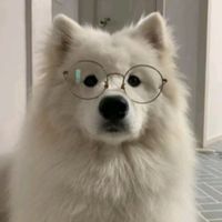 aomsim85