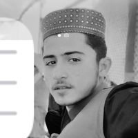 hafizalihassnainhassani