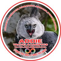 addie.travel.logistics