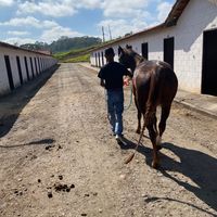 felipinho__.santos2