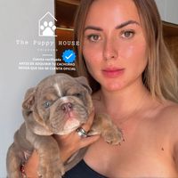 jessalmazanthepuppyhouse