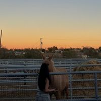 rvsixlia.saun