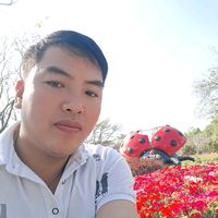 nhạc nền - HOÀNG LƯƠNG