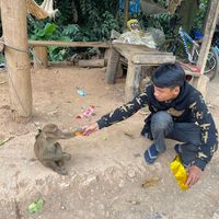 jiao____51