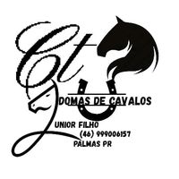 juniorcezarpedrosofilho