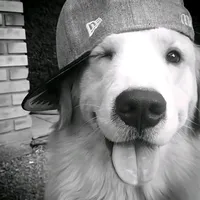 original sound - lii86176