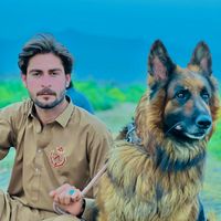 javid_afridi_804