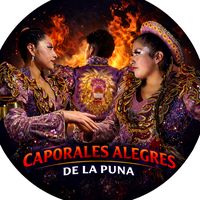 caporalesalegresdelapuna