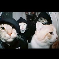 suara asli - Synurla