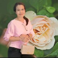 tucha_ray
