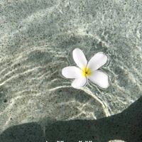 เสียงต้นฉบับ - ✨ลูกผู้ชายพันธุ์ดี😚🤲🏻