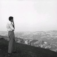 الصوت الأصلي