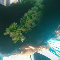 original sound - BrowngirlEditz💎