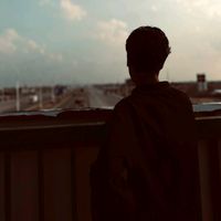 arar_358