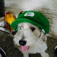 titodoblep665mejor