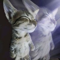 оригинальный звук