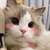 little_mtm